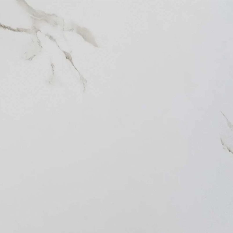 Керамогранит Rak Ceramics (Рак Керамикс) Indus Statuario Matt GR A 60x60 см