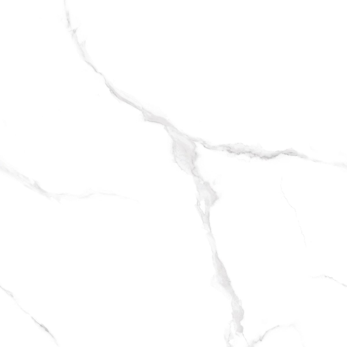 Керамогранит Protiles (Протайлс) Snow Marble Carving 60x60 см, PT60J906