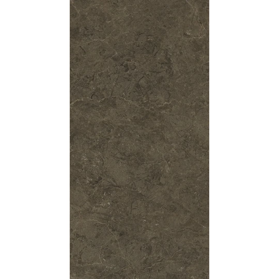 Керамогранит Protiles (Протайлс) Neapol Brown Matt 60x120 см, PT12F7039