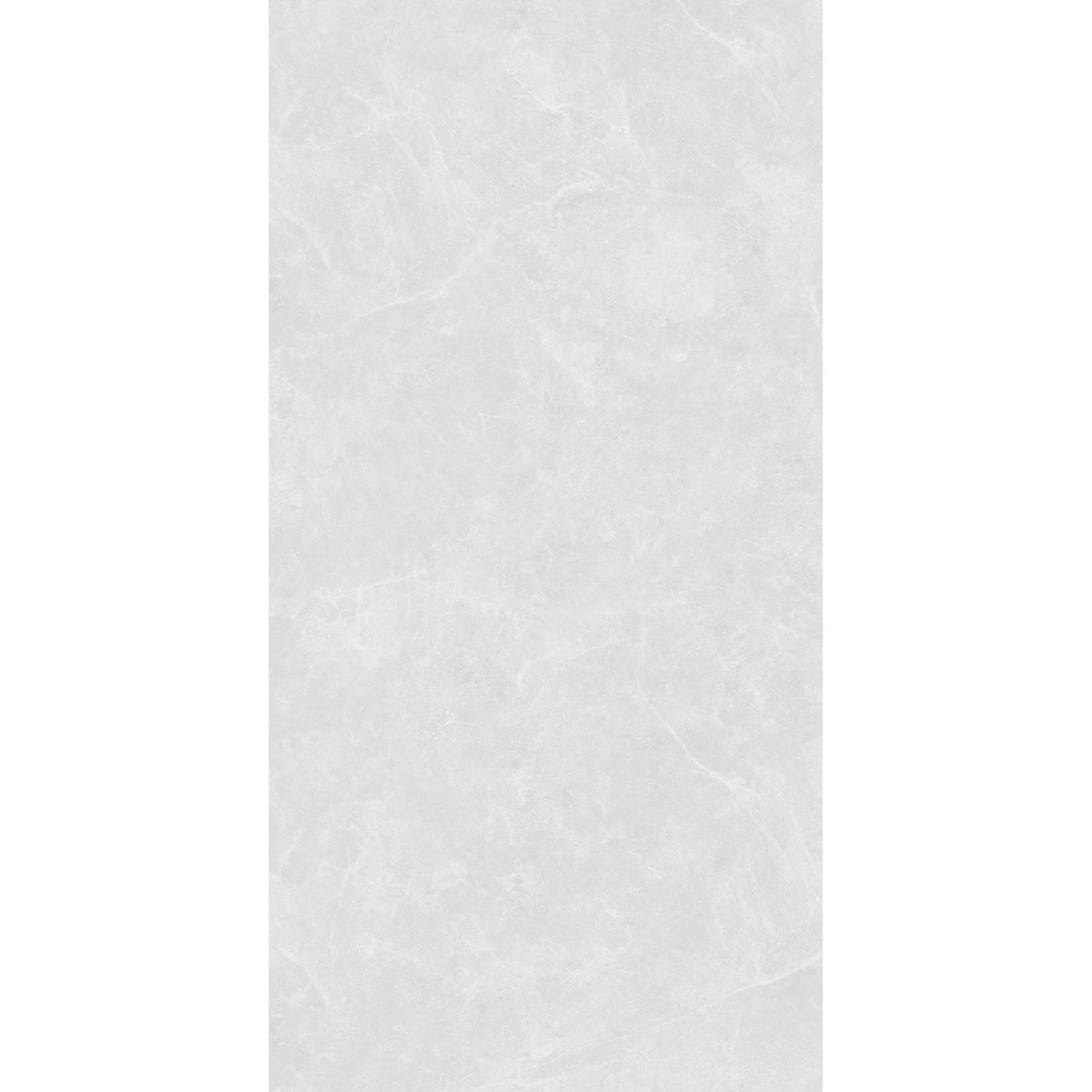 Керамогранит Arcadia Ceramica (Аркадиа Керамика) Oviedo Silver Solido 60х120 см, SL1003-A