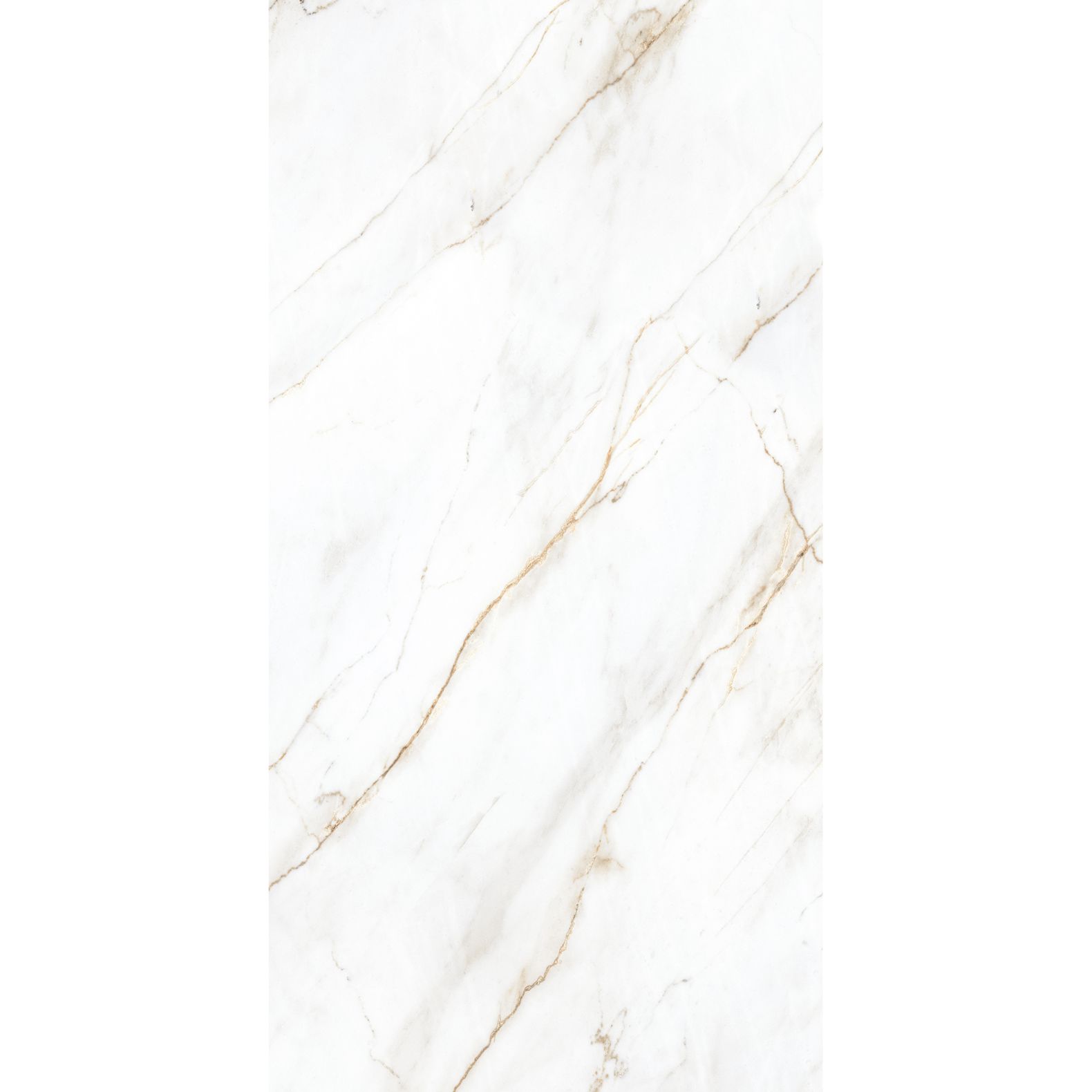 Керамогранит Arcadia Ceramica (Аркадиа Керамика) Selva Gold 60х120 см, CP4004-A