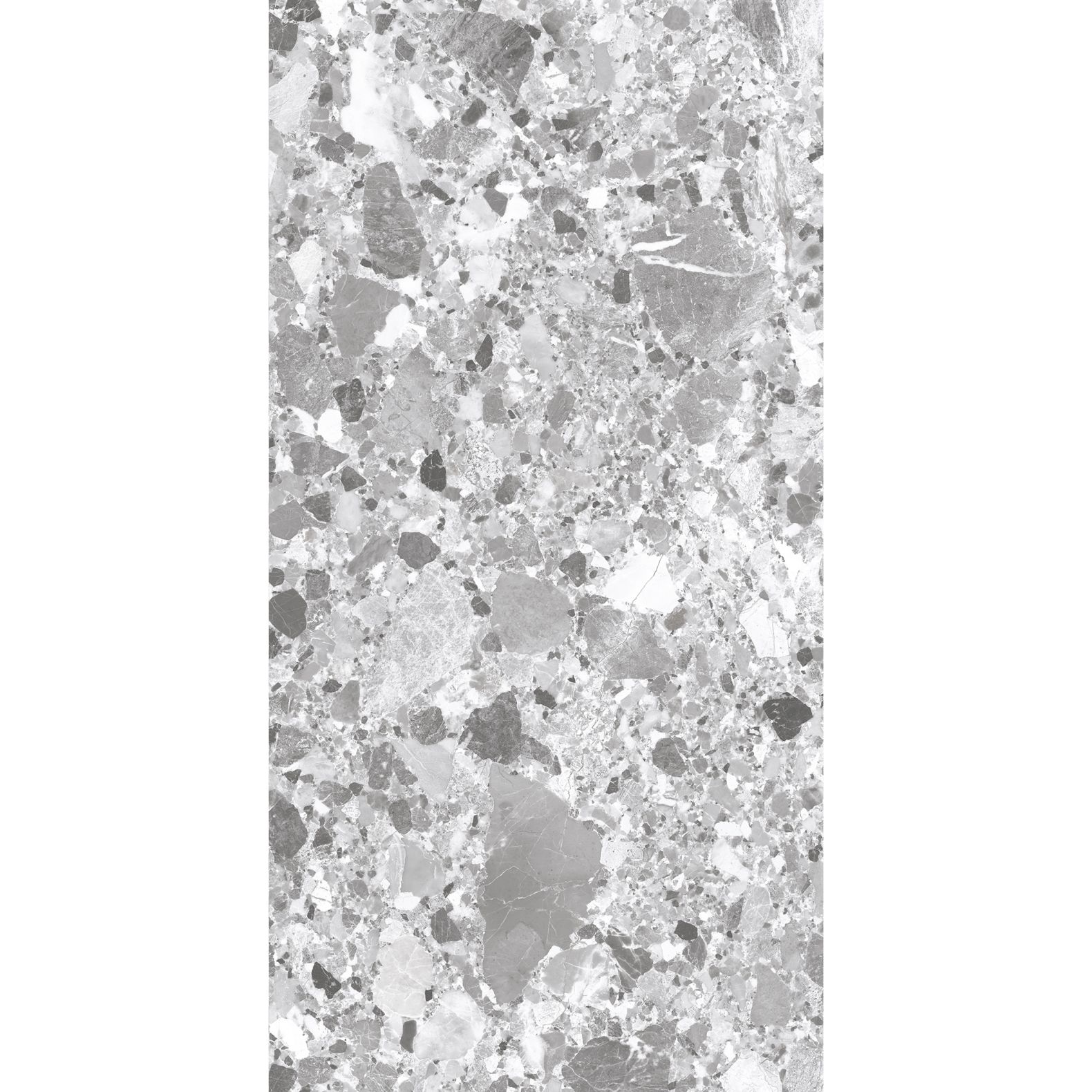 Керамогранит Arcadia Ceramica (Аркадиа Керамика) Terragona Silver Solido 60х120 см, SL1004-A