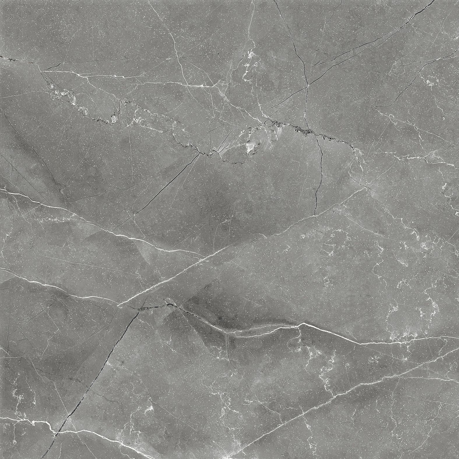 Керамогранит Arcadia Ceramica (Аркадиа Керамика) Pulpis Nero 60х60 см, CR6011-A