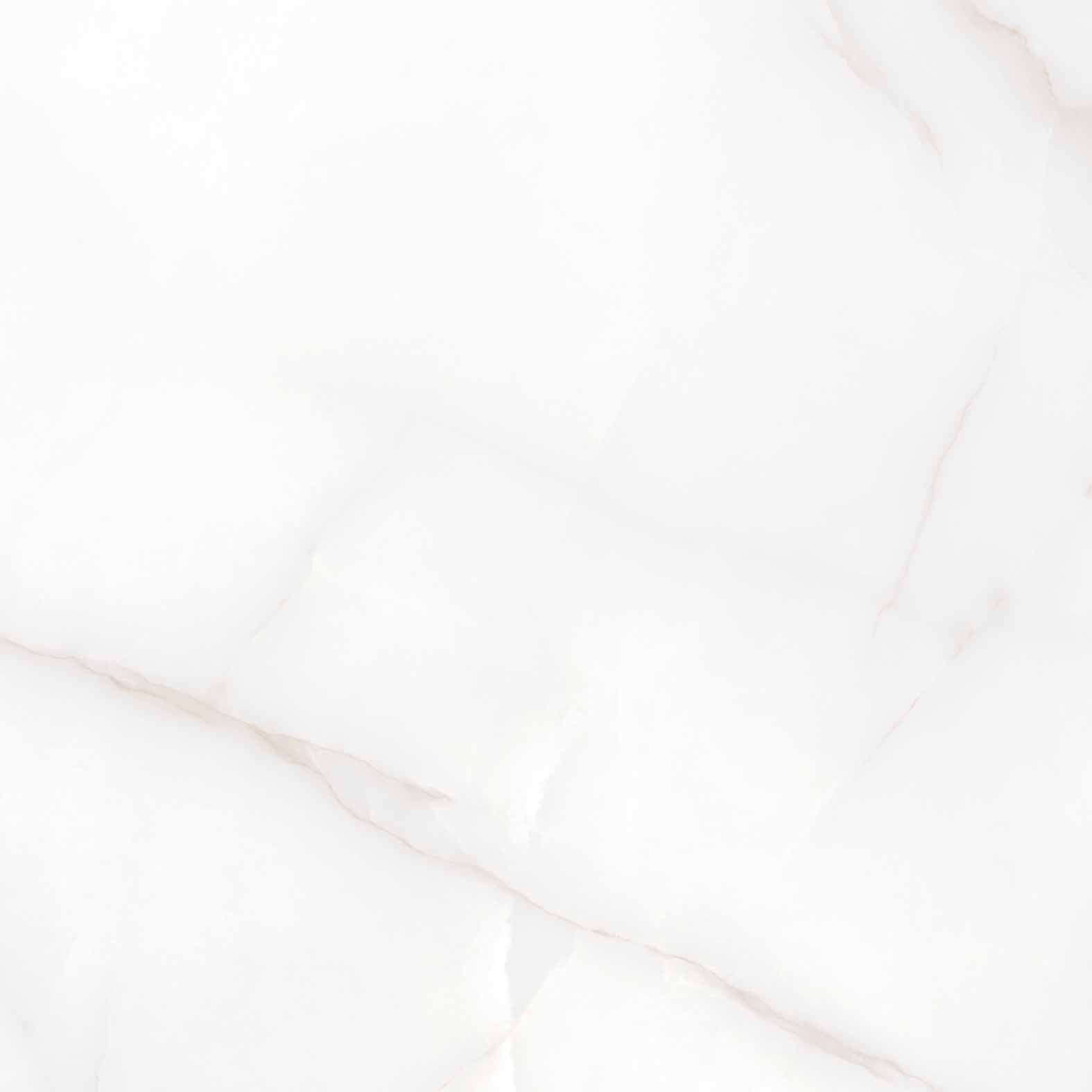 Керамогранит Arcadia Ceramica (Аркадиа Керамика) Feather Onyx 60х60 см, RT6004-A