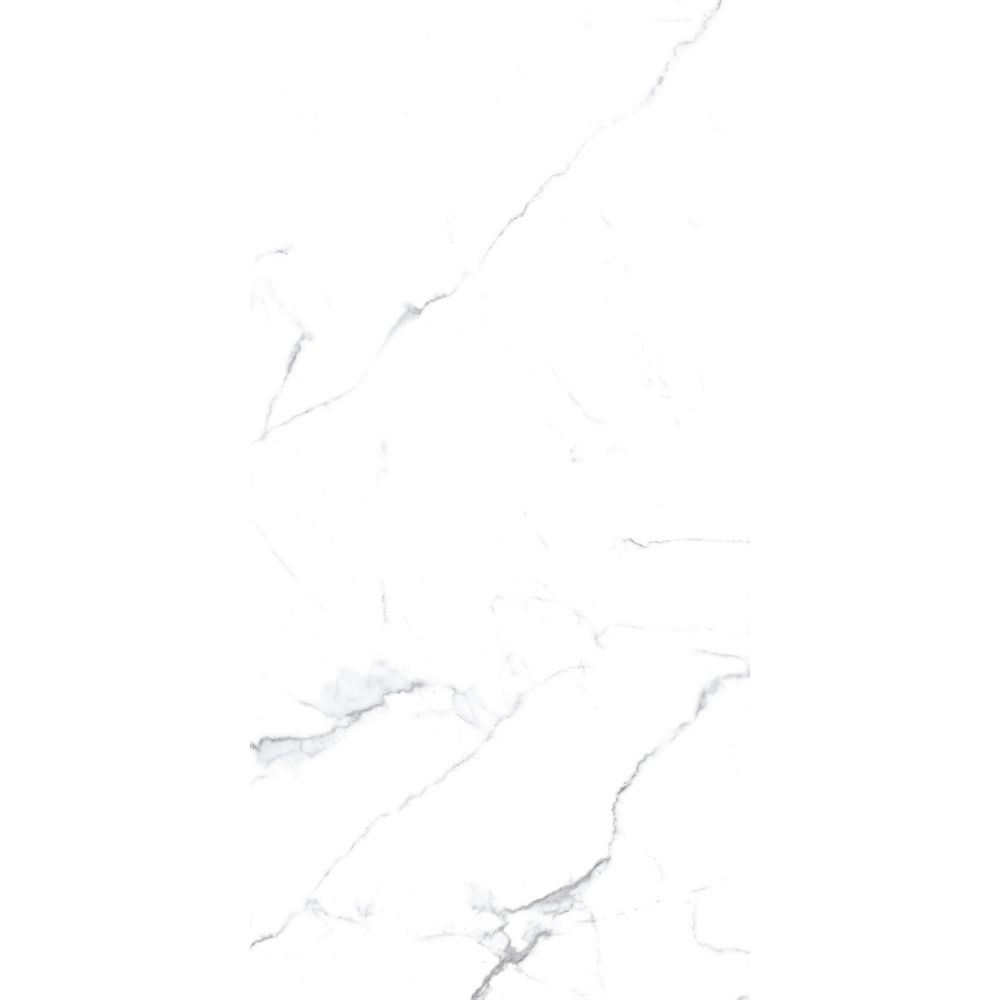 Керамогранит Premium Global Tile (Премиум Глобал Тайл) Olivia Белый матовый 60x120 см, PGT120609403MGR