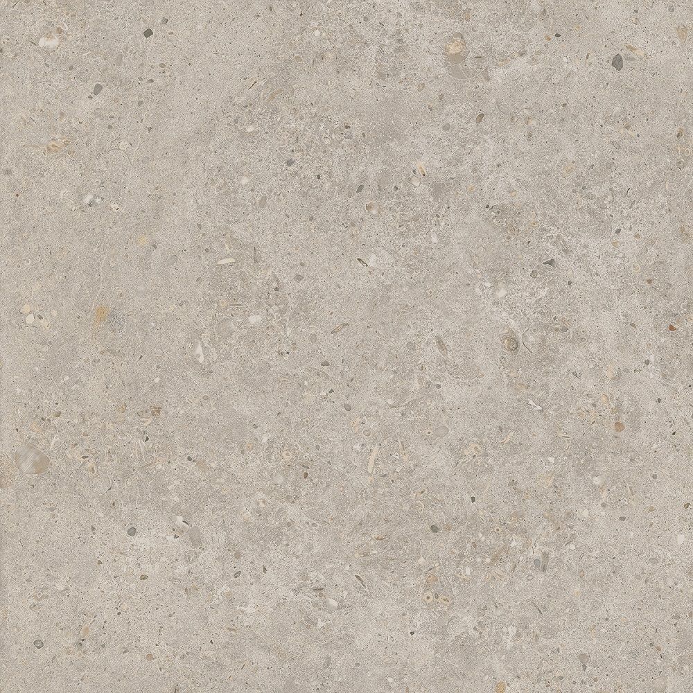 Керамогранит Kerama Marazzi (Керама Марацци) Риккарди Бежевый матовый 60x60 см, SG653820R