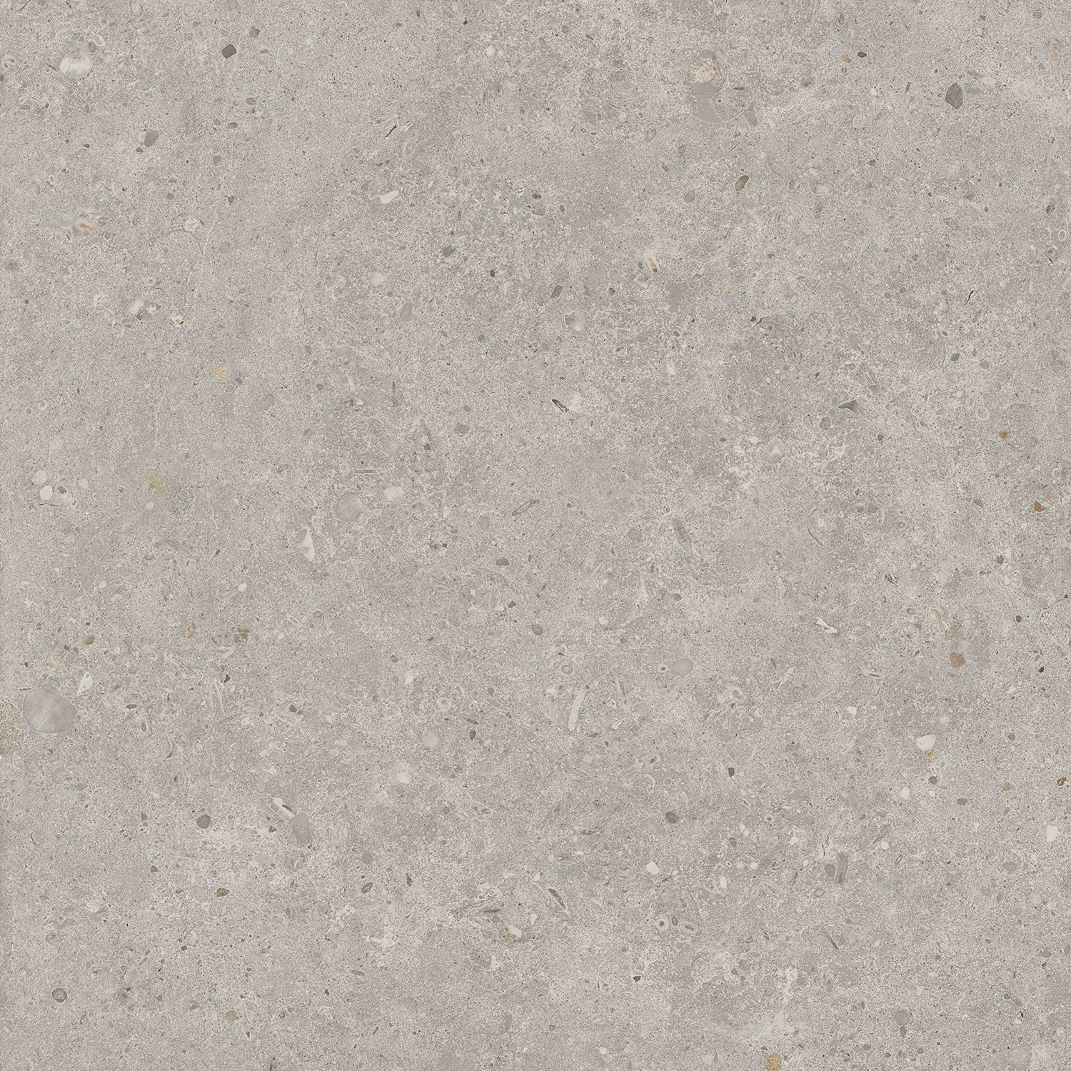 Керамогранит Kerama Marazzi (Керама Марацци) Риккарди Светло-серый матовый 60x60 см, SG653720R