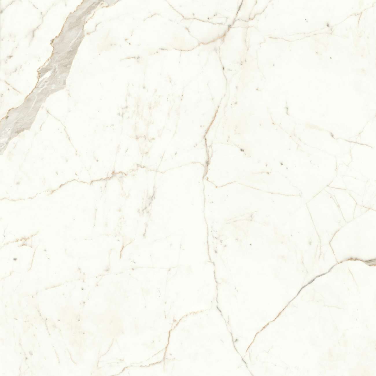 Керамогранит Atlas Concorde (Атлас Конкорд) Marvel Calacatta Prestigio 120x120 см, лаппатированный Lappato