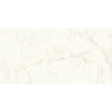 Керамогранит Atlas Concorde (Атлас Конкорд) Marvel Shine Calacatta Delicato Matt 60x120 см, толщ. 9 мм (2 плиты), A4QW