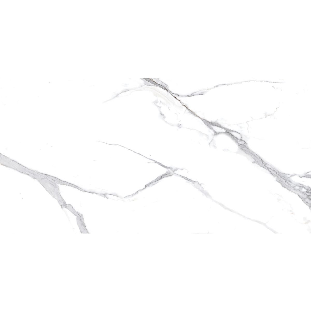 Керамогранит Ceradim (Керадим) Calacatta Splendid Silver белый 60х120 см матовый