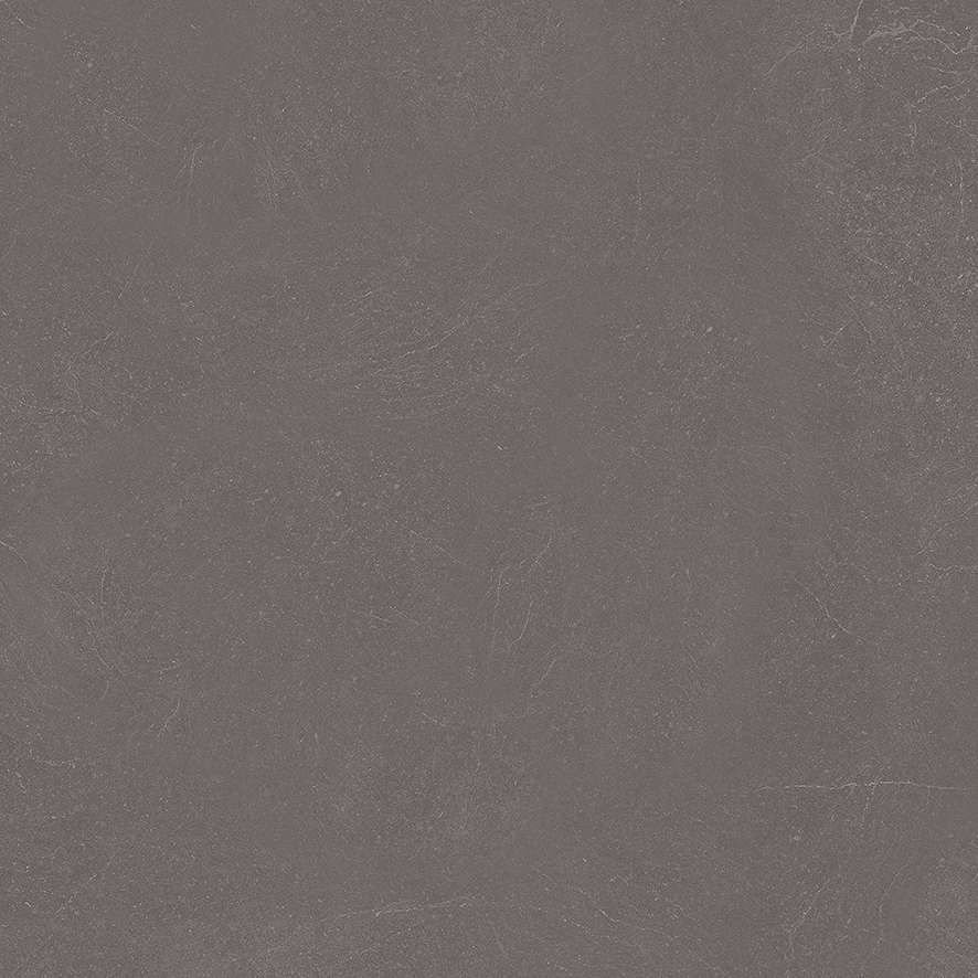 Керамогранит Ceradim (Керадим) Stone Notable Ash серый 60х60 см матовый