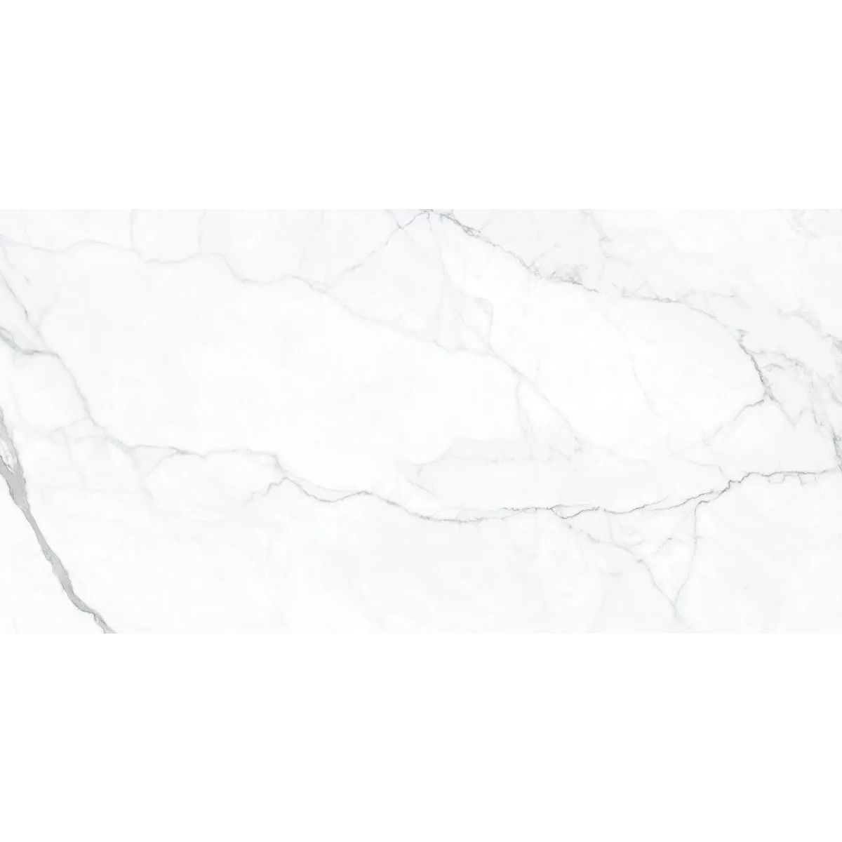 Керамогранит Geotiles Artemisa Blanco 60x120 см Polished
