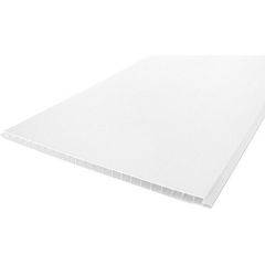 Панель ПВХ матовая Profbuild (Профбуилд) Эконом 3000х250х8 мм Белый