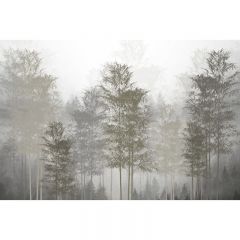 Обои виниловые на флизелине Design Studio 3D Vintage Винтажный туманный лес Иней (VG-011)