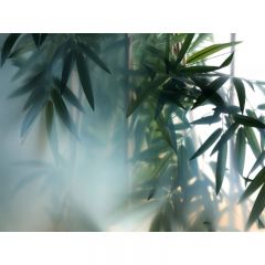 Обои виниловые на флизелине Design Studio 3D За стеклом Бамбук в туманной дымке Холст Серебро (TG-007)