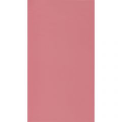 Обои виниловые на флизелине Cascadeo Rose & Nino Cad 10.05х0.53 м 69864600