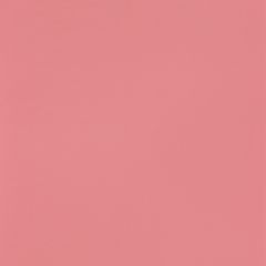 Обои виниловые на флизелине Cascadeo Rose & Nino Cad 10.05х0.53 м 82913401