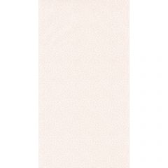Обои виниловые на флизелине Cascadeo Rose & Nino Cad 10.05х0.53 м 85524378