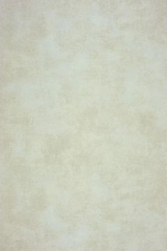 Обои виниловые на флизелине Cascadeo Palazzo 10.05х0.53 м 26901147
