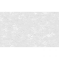 Обои виниловые на флизелине Grandeco SPRING 10.05x1.06 м (R148003)