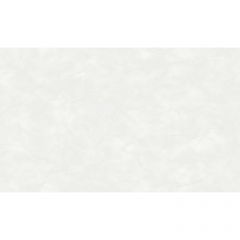 Обои виниловые на флизелине Grandeco SPRING 10.05x1.06 м (R148012)