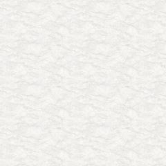 Обои виниловые Grandeco Originale 10.05x1.06 м R165101