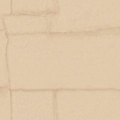 Обои виниловые на флизелине Zambaiti parati Trussardi VIII 10.05х0.7 м, Z30304