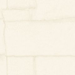 Обои виниловые на флизелине Zambaiti parati Trussardi VIII 10.05х0.7 м, Z30307