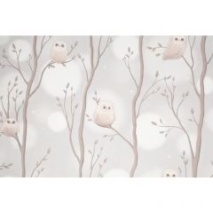 Обои виниловые Палитра Home Color Dream 10.05х1.06 м HC72161-42