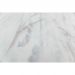 Обои виниловые на флизелине Kerama Marazzi Reflection, Azulezu, Impression, Jungle, Exotik, Oasis 10.05х1.06 м, KM7901