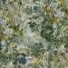 Обои виниловые на флизелине Blumarine (Блюмарин) Home 10х1.06 м, 29051BM