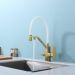Смеситель для кухни с подключением фильтра Raglo (Рагло) R85.62.03, золотой сатин