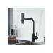 Смеситель для кухни с мультифункциональным изливом Raffine (Раффин) F203H, черный
