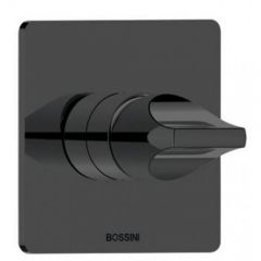 Смеситель Bossini Apice для душа, встраиваемый, цвет: черный матовый Z00504.073