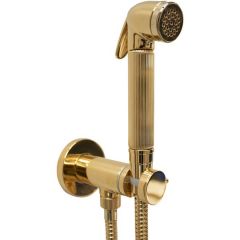 Гигиенический душ Bossini Nikita с прогрессивным смесителем, лейка металлическая, шланг металлический, цвет: золото E37008B.021