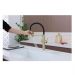 Смеситель для кухни Paulmark (Паульмарк) Nexus Diamond, светлое золото, Nd613999-LG