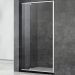 Душевая дверь Veconi (Векони) Premium Trento VN32-100-01-C5 стекло прозрачное 5 и 6 мм 1950х1000 ммхром