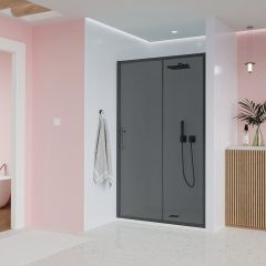Душевая дверь Veconi Evo 100 GR, 1100x1950 мм, графит брашинг, стекло тонированное матовое 6 мм, E1-GR-110-12-C9