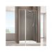 Душевая дверь Allen Brau Priority 100 см 3.31028.00, стекло прозрачное, профиль хром