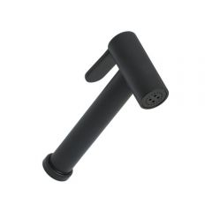 Гигиеническая лейка Allen Brau (Аллен Брау) Priority 5.31028-31, черный матовый