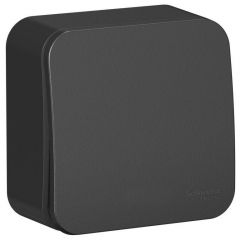 Выключатель Систем Электрик (Schneider Electric) 1-клавиша ОП Blanca 10 А IP20 (схема 1) 250 В с изолирующей пластиной антрацит BLNVA101016