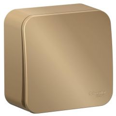 Выключатель Систем Электрик (Schneider Electric) 1-клавиша ОП Blanca 10 А IP20 (схема 1) 250 В с изолирующей пластиной титан BLNVA101014