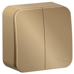 Выключатель Систем Электрик (Schneider Electric) 2-клавиши ОП Blanca 10 А IP20 (схема 5) 250 В с изолирующей пластиной титан BLNVA105014