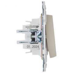 Выключатель ИЕК (IEK) 1-клавиша SKANDY SK-V01B 10 А бежевый SK-V10-0-10-K10, скрытой установки, IP20