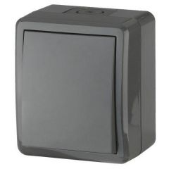 Выключатель Эра (Era) 1-клавиша Эксперт 11-1401-03 серый IP54 10 А 250 В 10AX