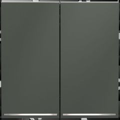Проходной переключатель встраиваемый Voltum S70 двухклавишный с подсветкой 10А, (титан) VLS020406