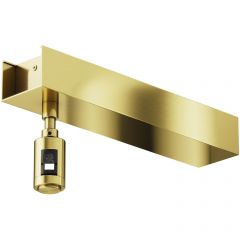 Основание потолочное для блока питания Maytoni (Майтони) с вводом питания Maytoni Flarity TRA156С-BB1-BS