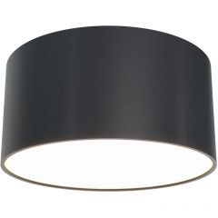 Потолочный светодиодный светильник Maytoni (Майтони) Zon C032CL-L12B3K