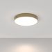 Потолочный светодиодный светильник Maytoni (Майтони) Zon C032CL-L48MG4K