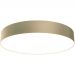 Потолочный светодиодный светильник Maytoni (Майтони) Zon C032CL-L48MG4K